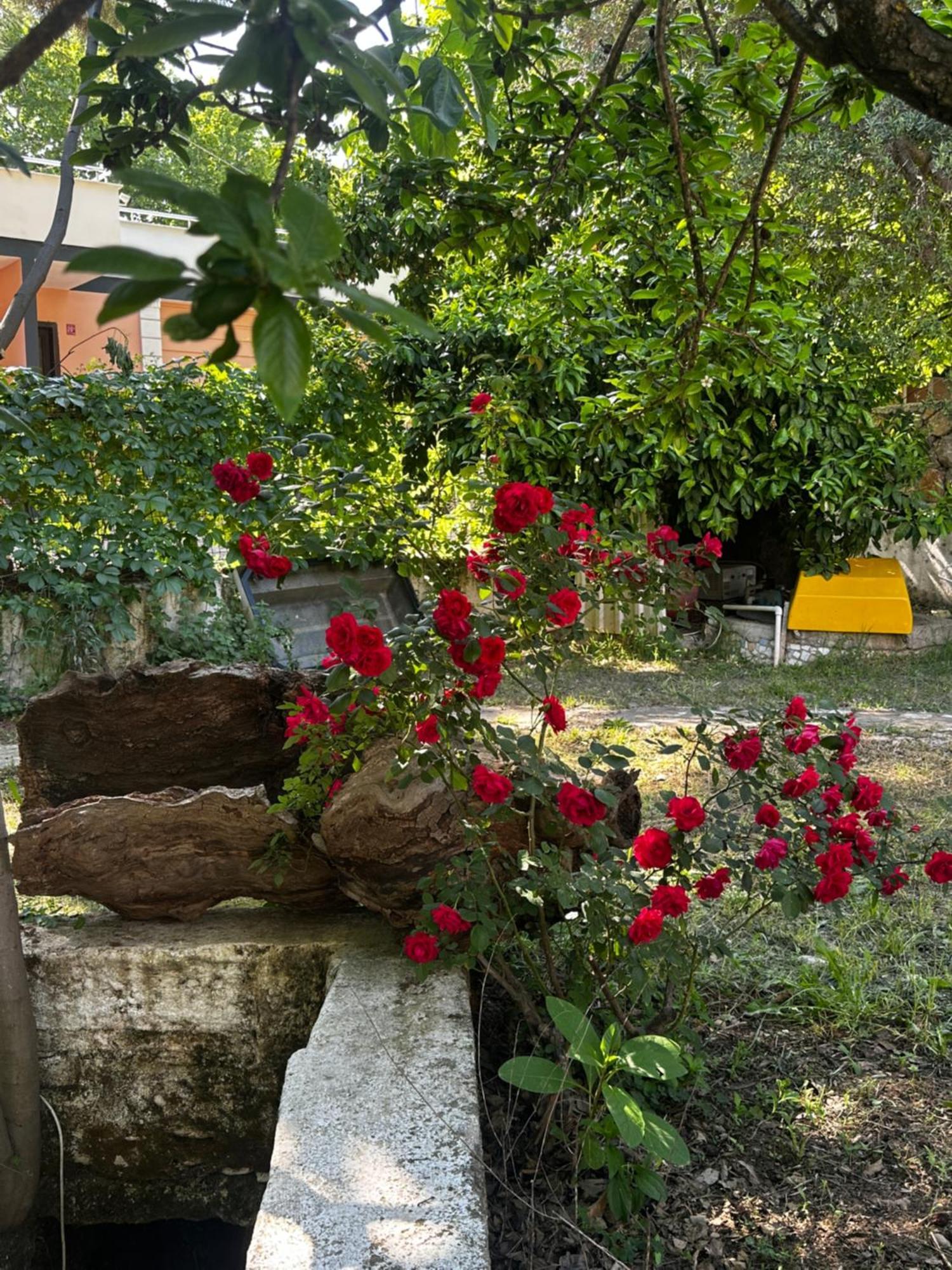 Sakliderebutikotel Edremit  Esterno foto